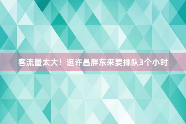 客流量太大！逛许昌胖东来要排队3个小时