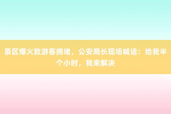 景区爆火致游客拥堵，公安局长现场喊话：给我半个小时，我来解决