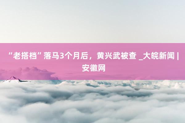 “老搭档”落马3个月后，黄兴武被查 _大皖新闻 | 安徽网