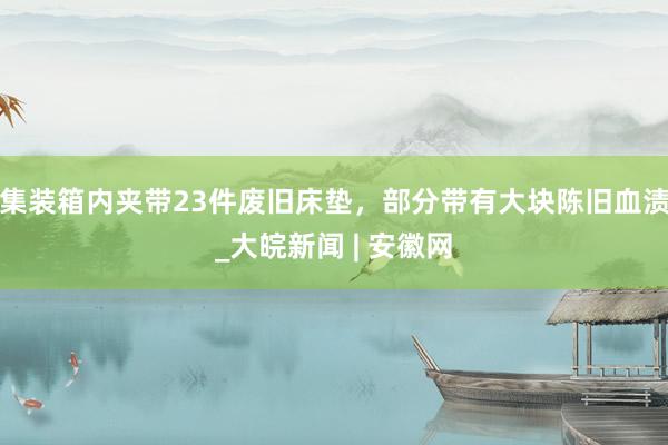 集装箱内夹带23件废旧床垫，部分带有大块陈旧血渍_大皖新闻 | 安徽网