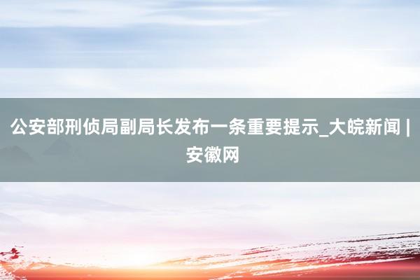 公安部刑侦局副局长发布一条重要提示_大皖新闻 | 安徽网