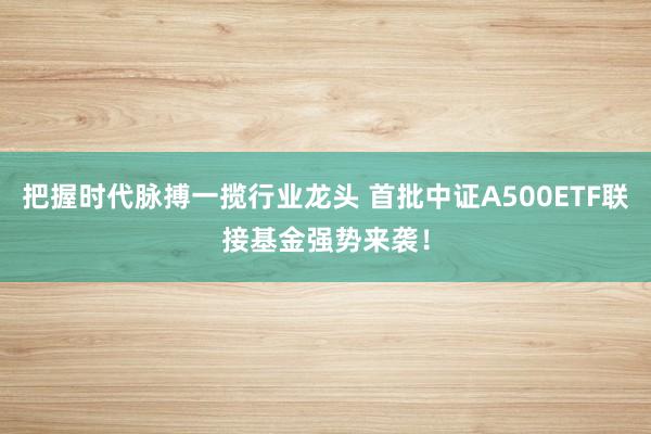 把握时代脉搏一揽行业龙头 首批中证A500ETF联接基金强势来袭！