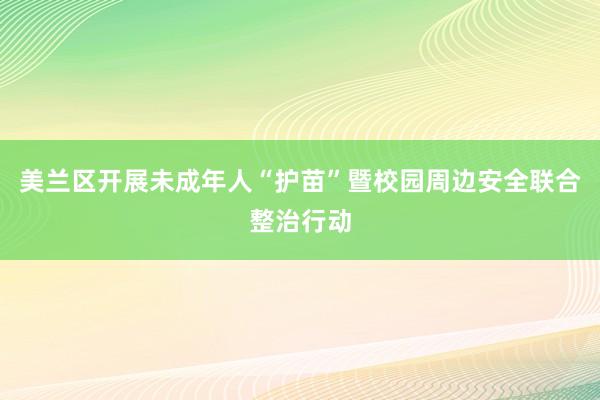 美兰区开展未成年人“护苗”暨校园周边安全联合整治行动