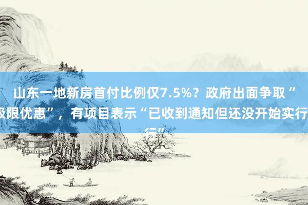 山东一地新房首付比例仅7.5%？政府出面争取“极限优惠”，有项目表示“已收到通知但还没开始实行”