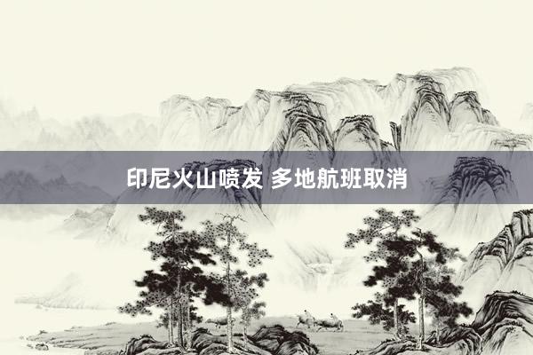 印尼火山喷发 多地航班取消