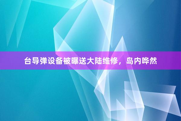 台导弹设备被曝送大陆维修，岛内哗然