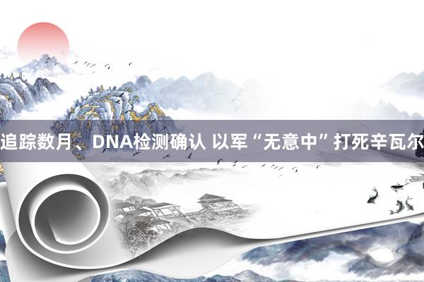 追踪数月、DNA检测确认 以军“无意中”打死辛瓦尔