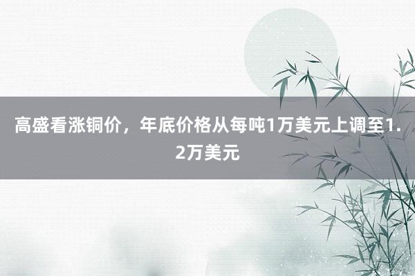 高盛看涨铜价，年底价格从每吨1万美元上调至1.2万美元