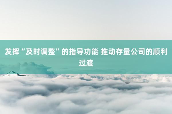 发挥“及时调整”的指导功能 推动存量公司的顺利过渡