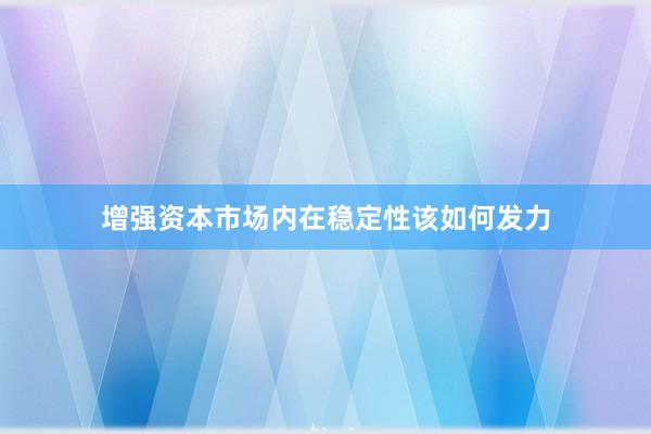 增强资本市场内在稳定性该如何发力