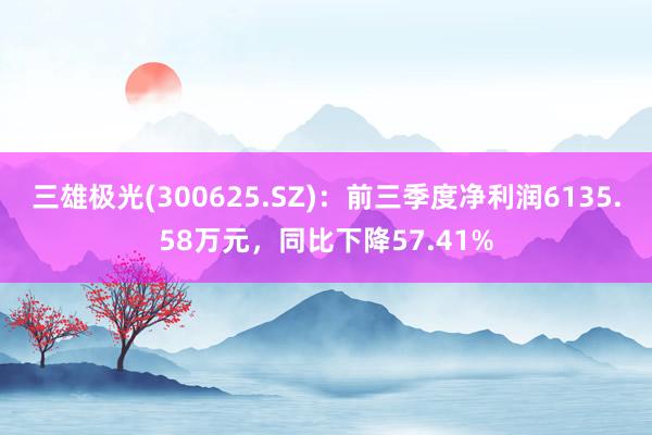 三雄极光(300625.SZ)：前三季度净利润6135.58万元，同比下降57.41%