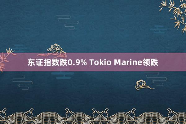 东证指数跌0.9% Tokio Marine领跌