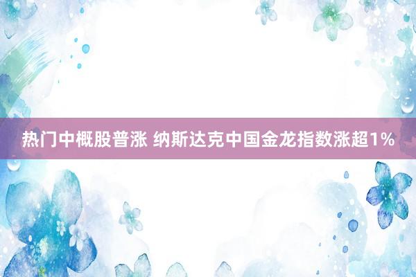 热门中概股普涨 纳斯达克中国金龙指数涨超1%