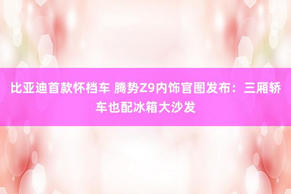 比亚迪首款怀档车 腾势Z9内饰官图发布：三厢轿车也配冰箱大沙发