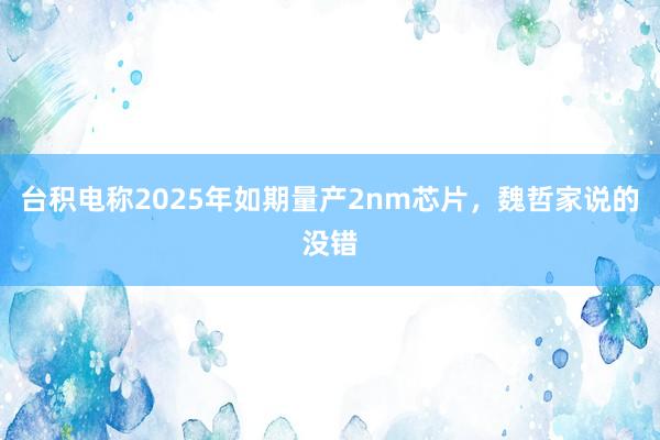 台积电称2025年如期量产2nm芯片，魏哲家说的没错