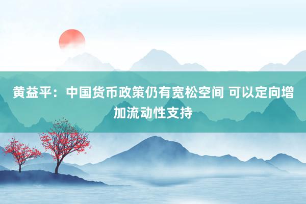 黄益平：中国货币政策仍有宽松空间 可以定向增加流动性支持