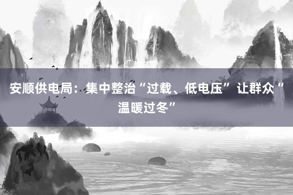 安顺供电局：集中整治“过载、低电压” 让群众“温暖过冬”