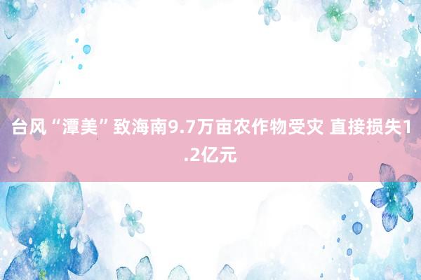 台风“潭美”致海南9.7万亩农作物受灾 直接损失1.2亿元