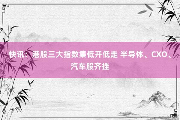 快讯：港股三大指数集低开低走 半导体、CXO、汽车股齐挫