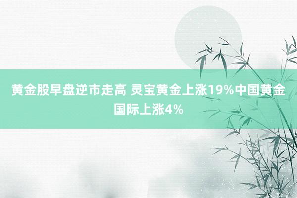 黄金股早盘逆市走高 灵宝黄金上涨19%中国黄金国际上涨4%