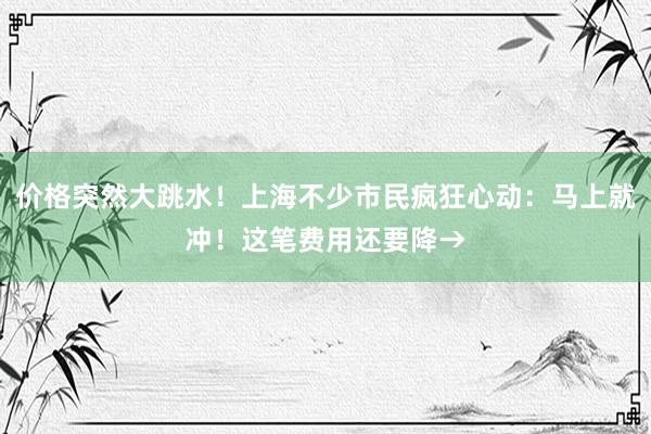 价格突然大跳水！上海不少市民疯狂心动：马上就冲！这笔费用还要降→