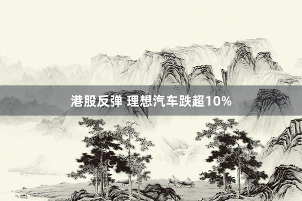 港股反弹 理想汽车跌超10%