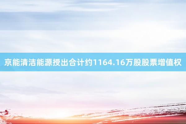 京能清洁能源授出合计约1164.16万股股票增值权