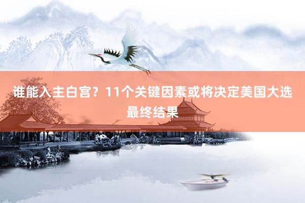 谁能入主白宫？11个关键因素或将决定美国大选最终结果