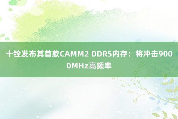 十铨发布其首款CAMM2 DDR5内存：将冲击9000MHz高频率