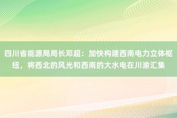 四川省能源局局长邓超：加快构建西南电力立体枢纽，将西北的风光和西南的大水电在川渝汇集