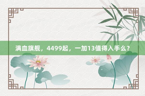 满血旗舰，4499起，一加13值得入手么？