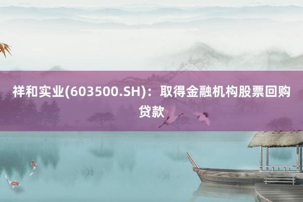 祥和实业(603500.SH)：取得金融机构股票回购贷款