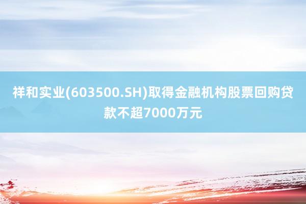 祥和实业(603500.SH)取得金融机构股票回购贷款不超7000万元