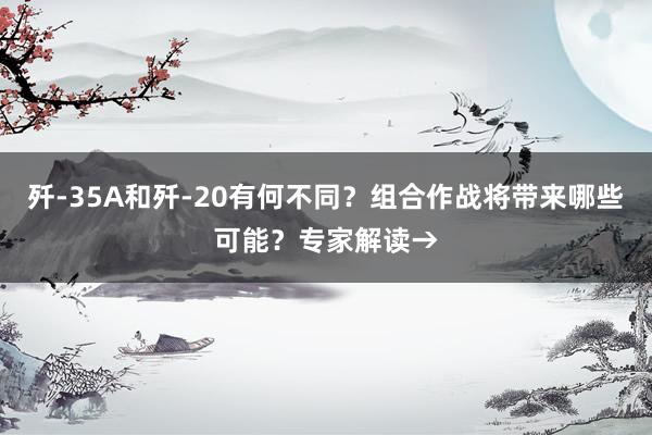 歼-35A和歼-20有何不同？组合作战将带来哪些可能？专家解读→