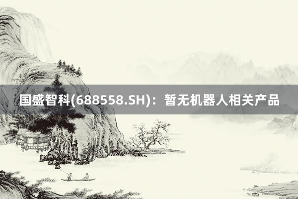 国盛智科(688558.SH)：暂无机器人相关产品