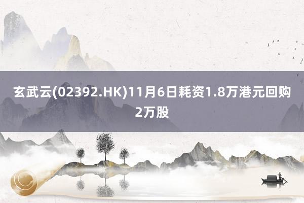 玄武云(02392.HK)11月6日耗资1.8万港元回购2万股