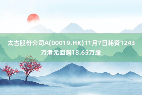 太古股份公司A(00019.HK)11月7日耗资1243万港元回购18.65万股