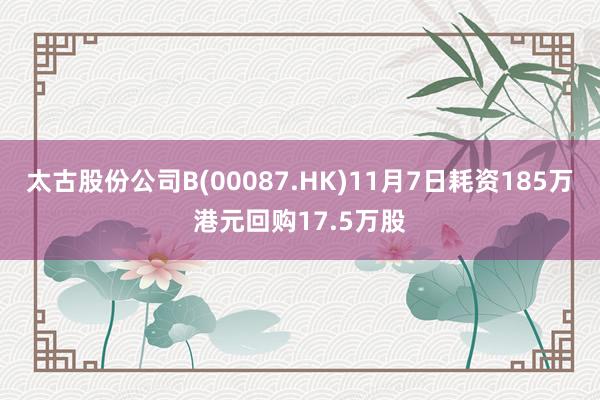 太古股份公司B(00087.HK)11月7日耗资185万港元回购17.5万股