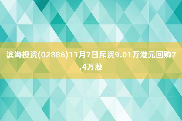 滨海投资(02886)11月7日斥资9.01万港元回购7.4万股