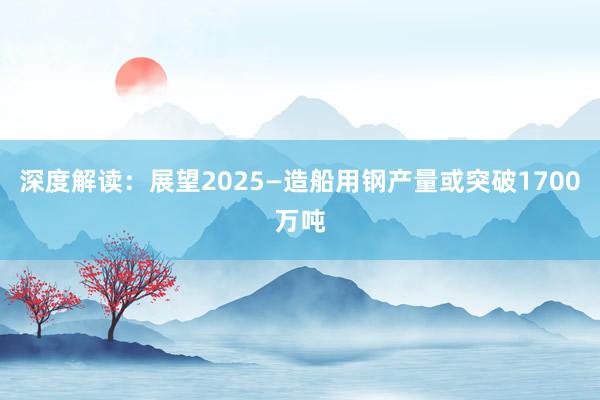 深度解读：展望2025—造船用钢产量或突破1700万吨