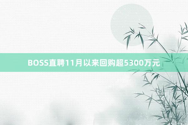 BOSS直聘11月以来回购超5300万元