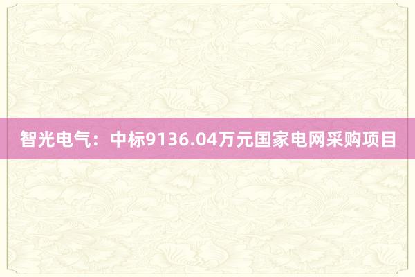 智光电气：中标9136.04万元国家电网采购项目