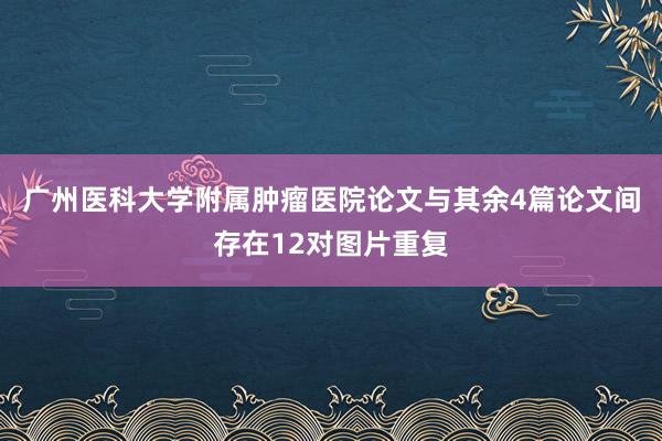 广州医科大学附属肿瘤医院论文与其余4篇论文间存在12对图片重复