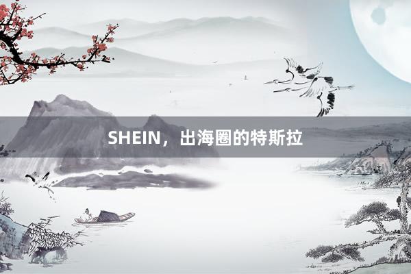 SHEIN，出海圈的特斯拉