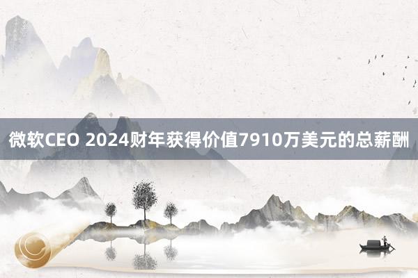 微软CEO 2024财年获得价值7910万美元的总薪酬