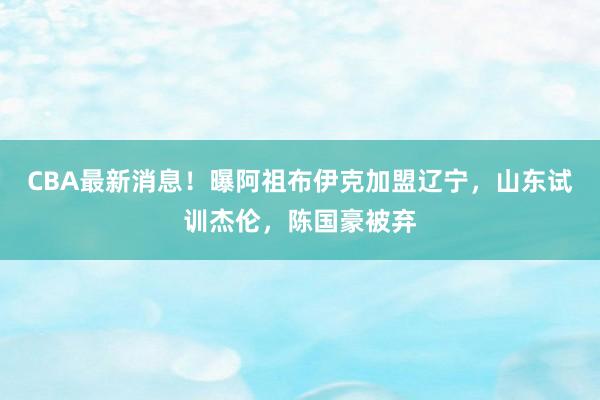 CBA最新消息！曝阿祖布伊克加盟辽宁，山东试训杰伦，陈国豪被弃