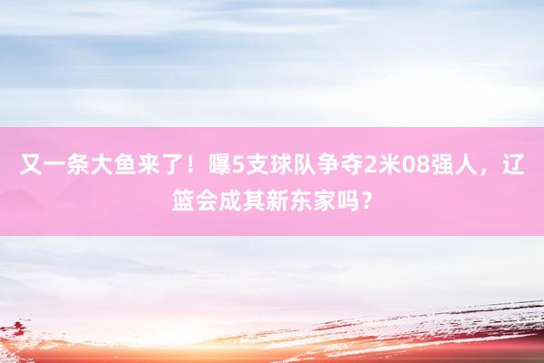 又一条大鱼来了！曝5支球队争夺2米08强人，辽篮会成其新东家吗？