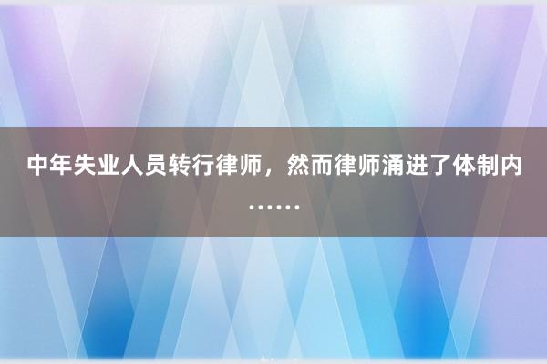 中年失业人员转行律师，然而律师涌进了体制内……