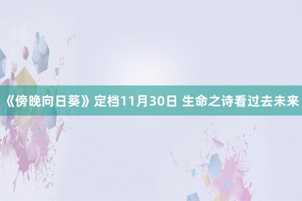 《傍晚向日葵》定档11月30日 生命之诗看过去未来