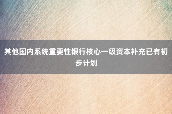 其他国内系统重要性银行核心一级资本补充已有初步计划